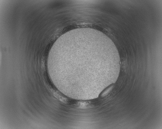 X0000078850662200612041907
