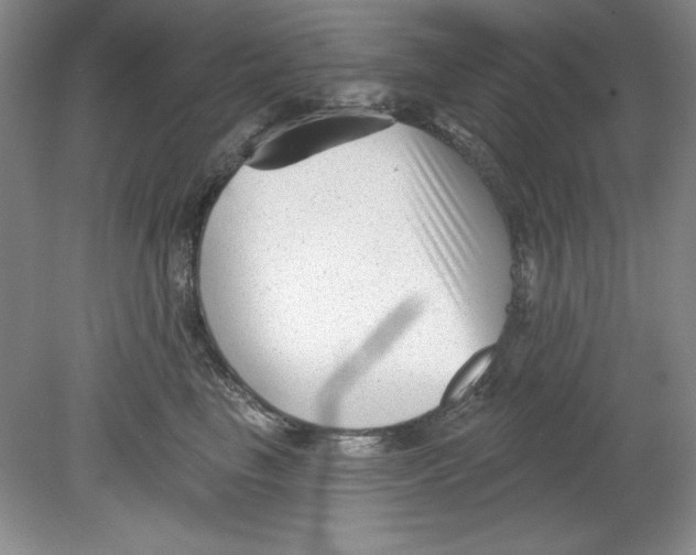 X0000078850665200612041907