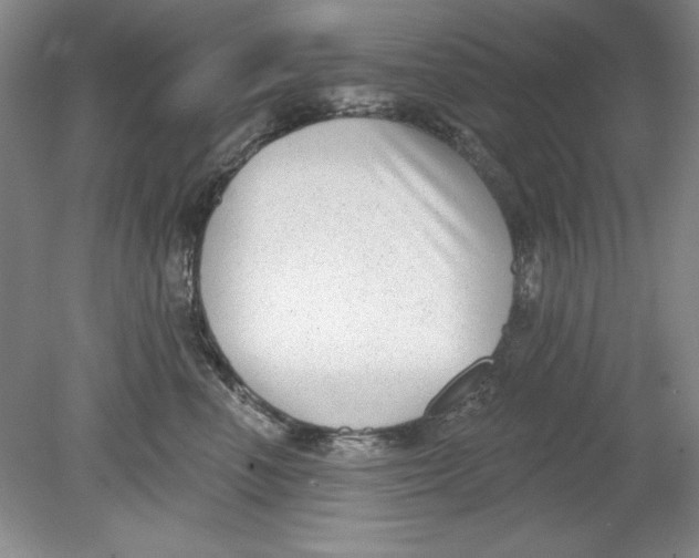 X0000078850666200612041907