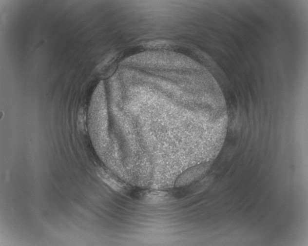 X0000078850669200612041907