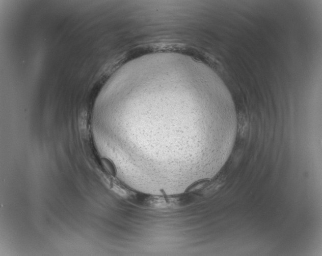X0000078850670200612041907