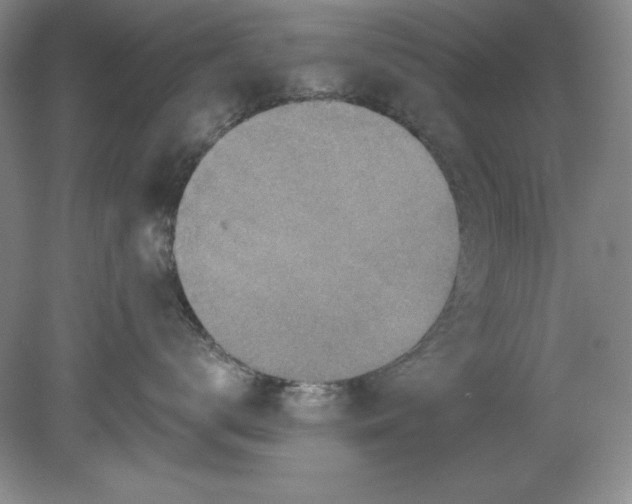 X0000078850672200612041907