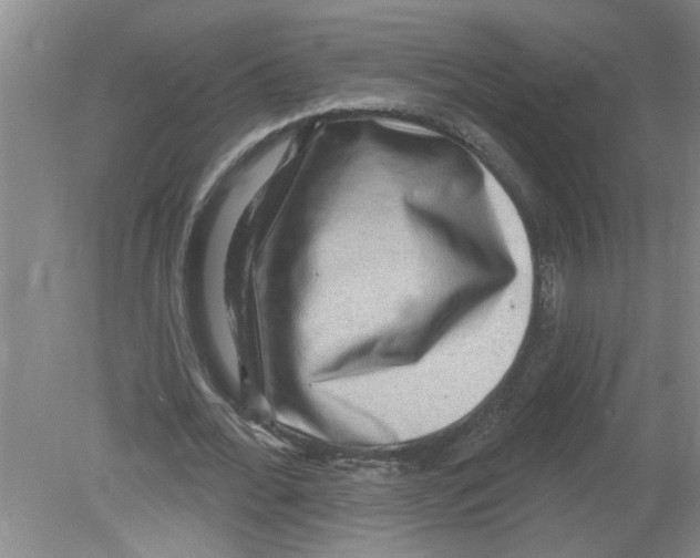 X0000078850676200612041907