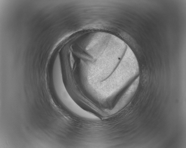 X0000078850680200612041907