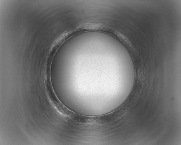 X0000078850682200612041906