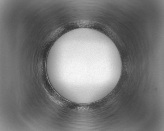 X0000078850690200612041906