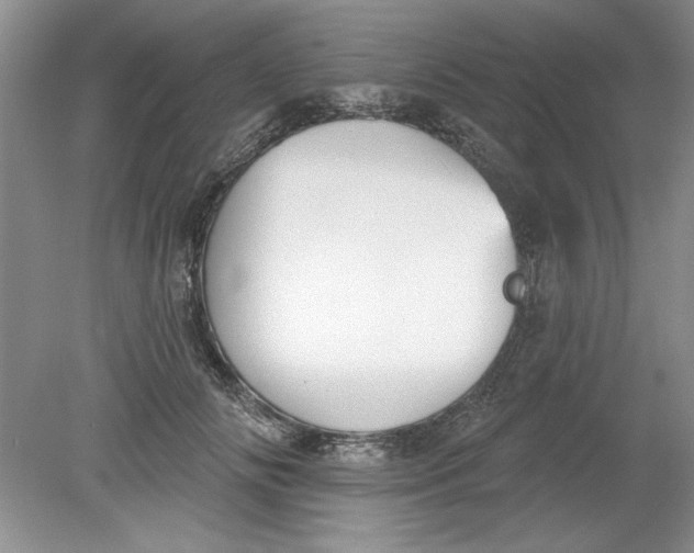 X0000078850702200612041906