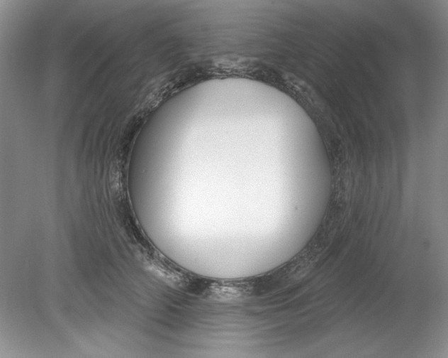 X0000078850706200612041906