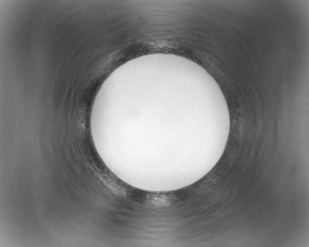 X0000078850710200612041906