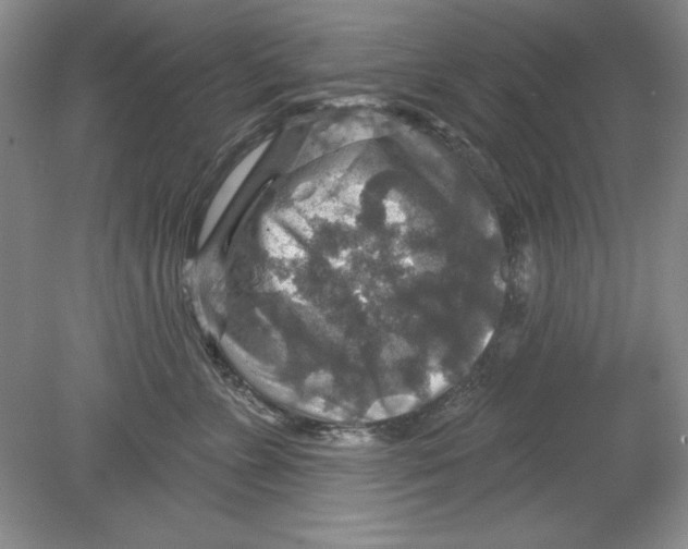 X0000078850715200612041906