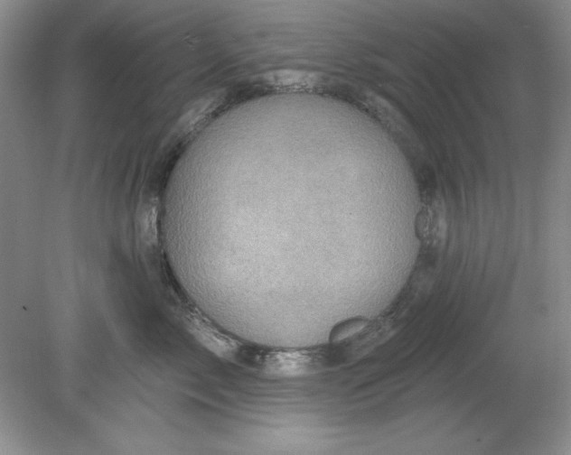 X0000078850717200612041906