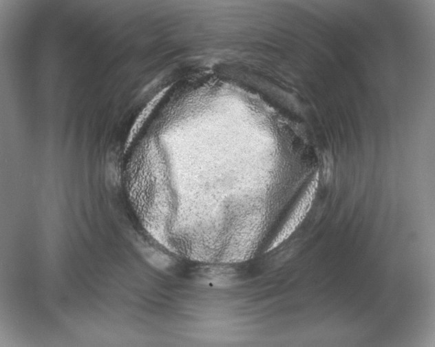 X0000078850719200612041906