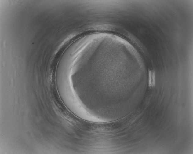 X0000078850723200612041905