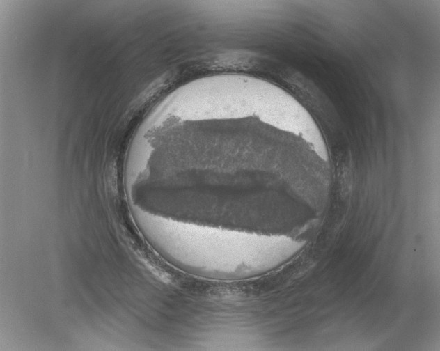 X0000078850729200612041905