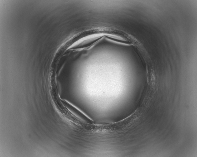 X0000078850730200612041905