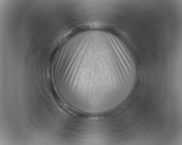 X0000078850740200612041905