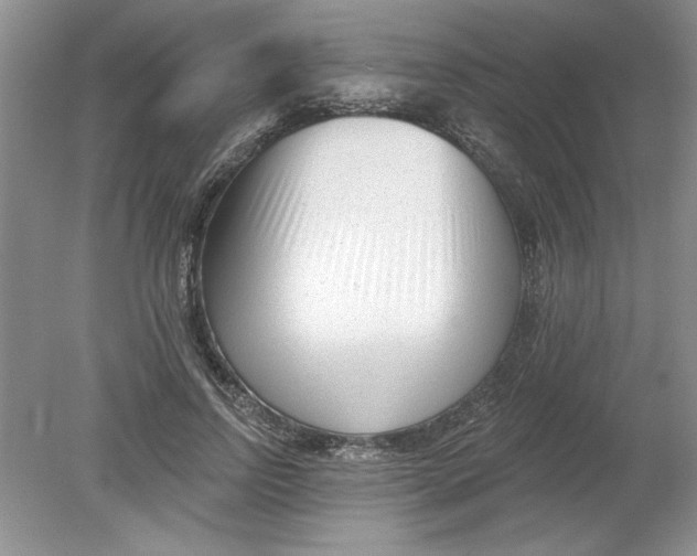 X0000078850742200612041905