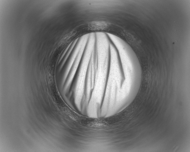X0000078850743200612041905