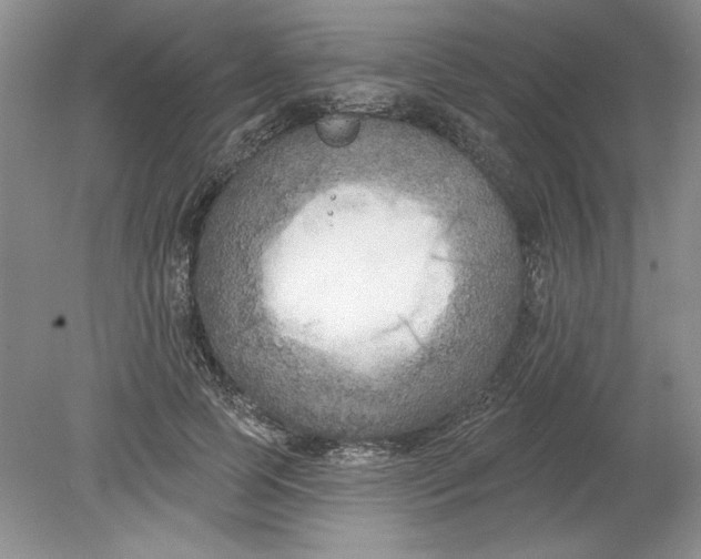 X0000078850745200612041905