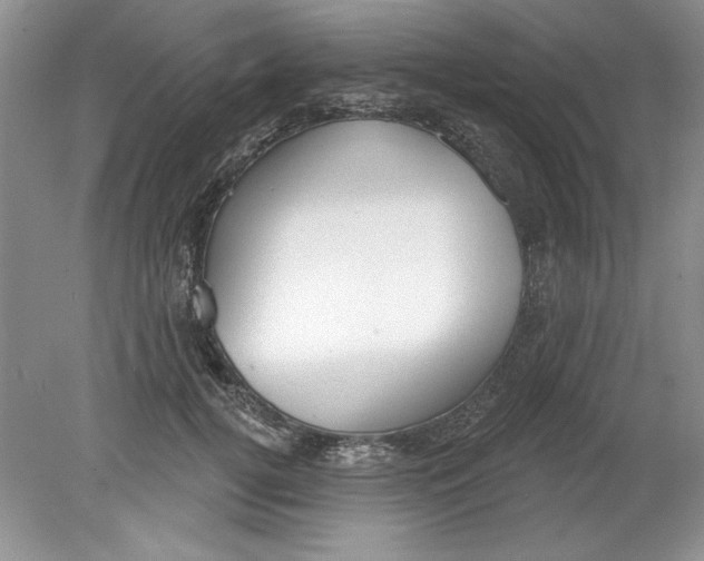 X0000078850752200612041906