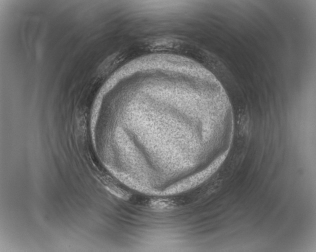 X0000078850753200612041906