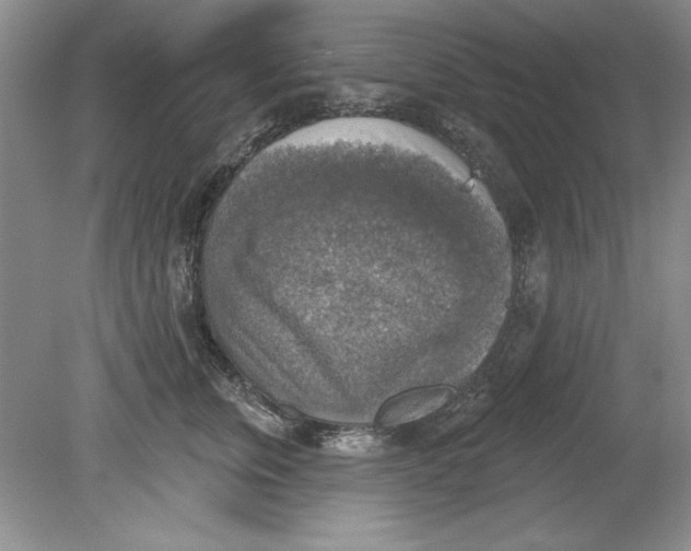 X0000078850759200612041906