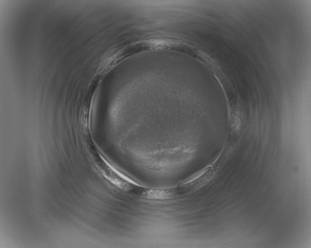 X0000078850766200612041906