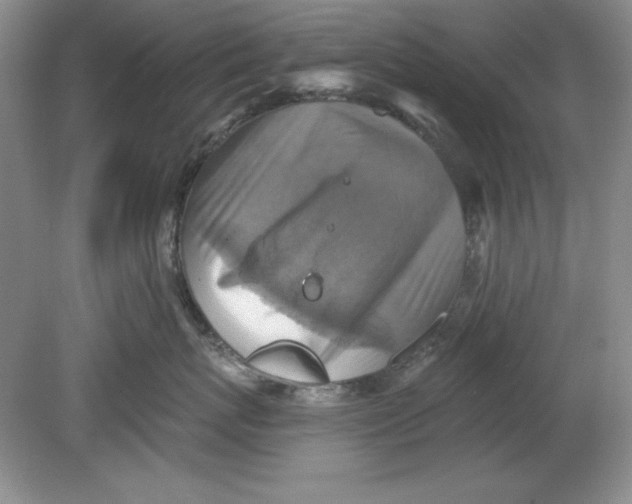 X0000078850767200612041906