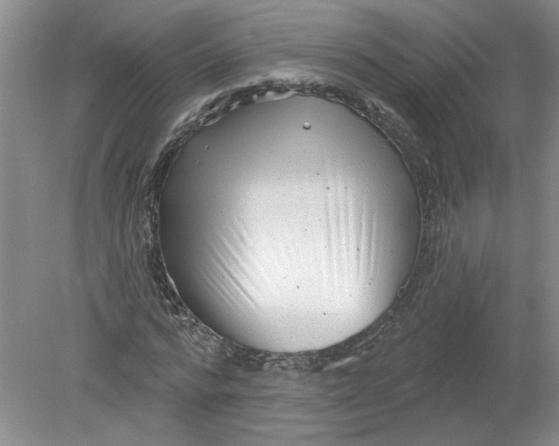 X0000078850776200612041905