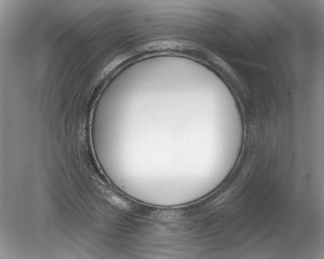 X0000078850778200612041905