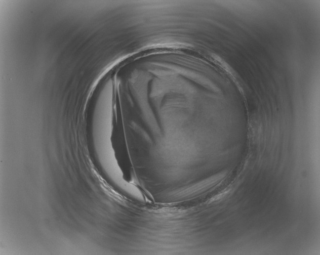 X0000078850779200612041905