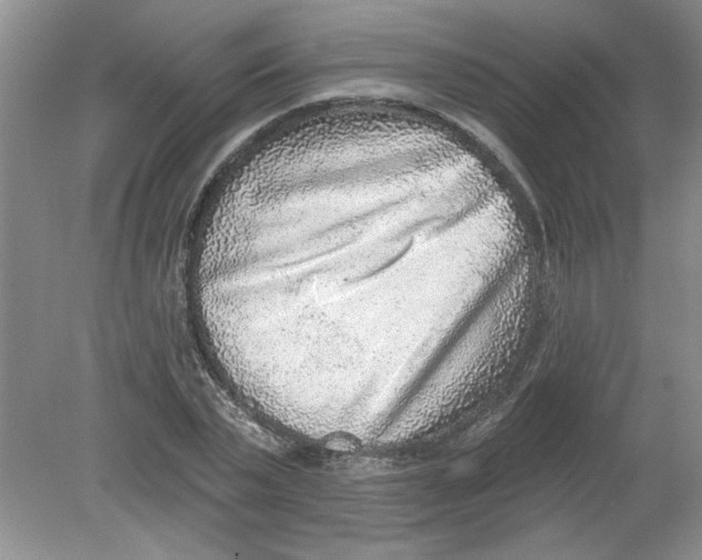 X0000078850783200612041905