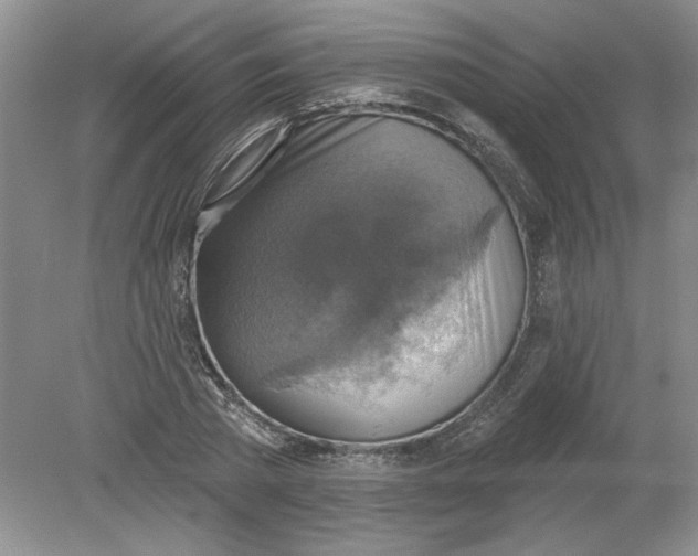 X0000078850785200612041905