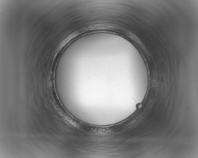 X0000078850786200612041905