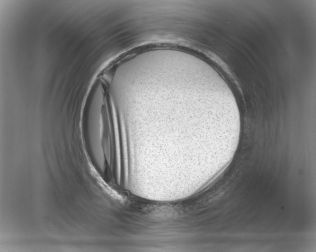 X0000078850791200612041905