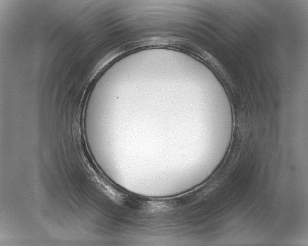 X0000078850794200612041905
