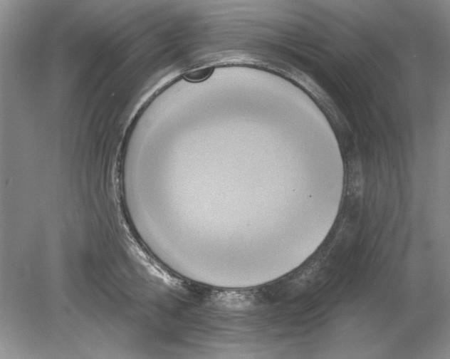 X0000078850806200612041904