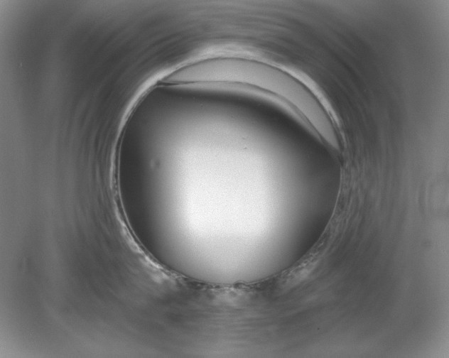 X0000078850815200612041904