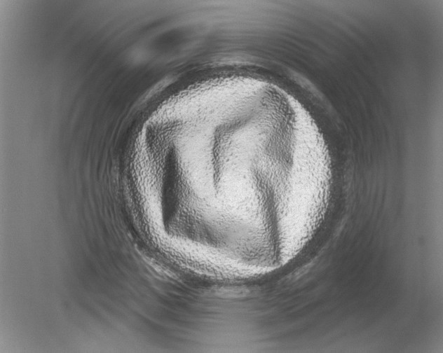 X0000078850825200612041904
