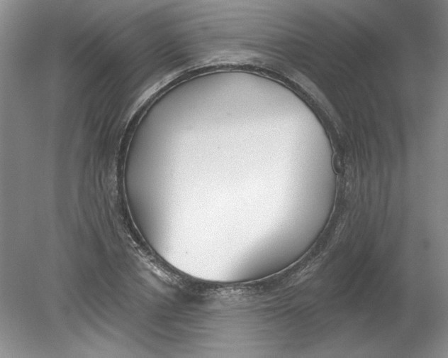 X0000078850834200612041904