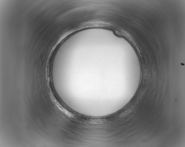 X0000078850843200612041904