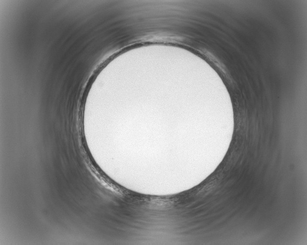 X0000078850848200612041904