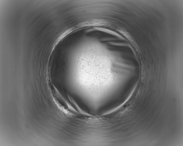 X0000078850850200612041904