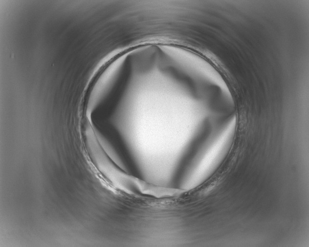 X0000078850854200612041904