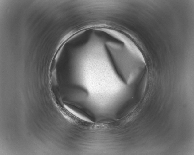 X0000078850858200612041904