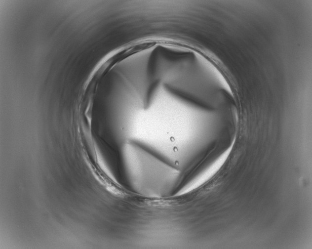 X0000078850862200612041904