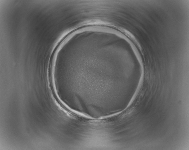 X0000078850863200612041904