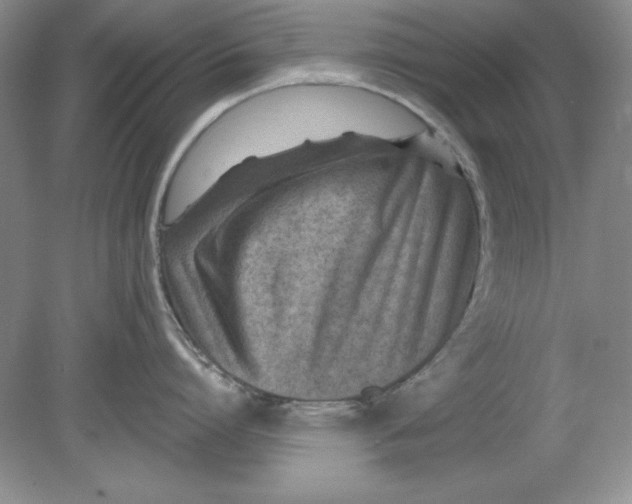 X0000078850864200612041904