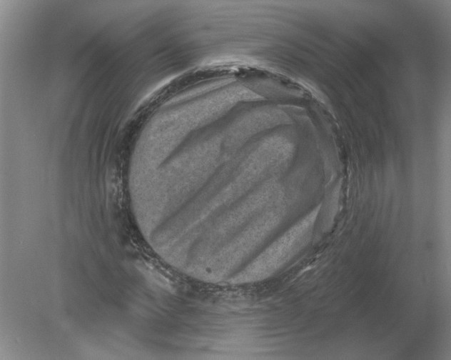 X0000078850872200612041903