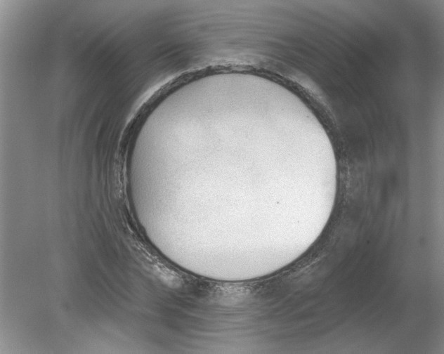 X0000078850878200612041903